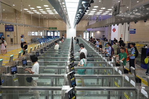 中國科技網 引領網絡技術服務創新，賦能數字中國建設